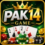 PAK14 Game